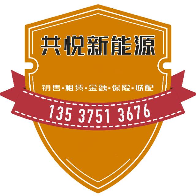深圳市共悦新能源汽车有限公司