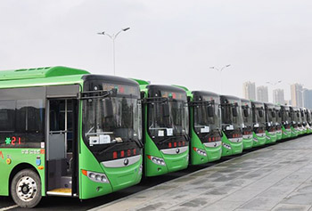 山东青岛：纯电动公交车将全部使用新能源号牌上路运行
