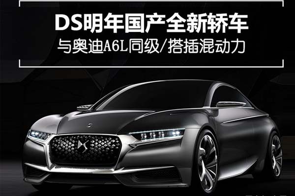 DS明年国产全新轿车 与奥迪A6L同级/搭插混动力
