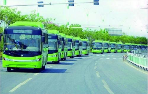 浙江舟山：105辆新能源公交车安上了专用车牌