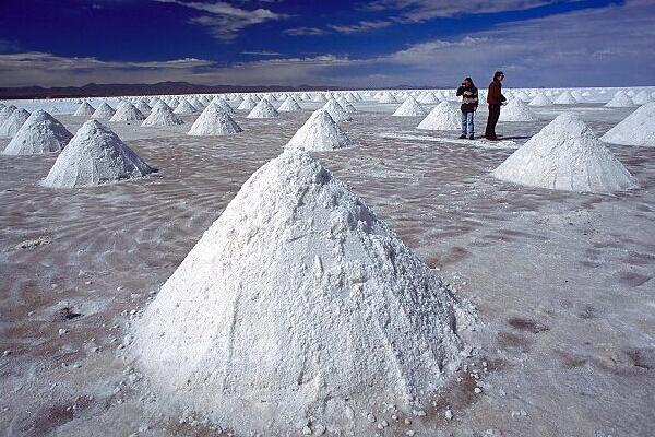 节前锂盐交易两重天 春节锂盐厂生产情况抢先看