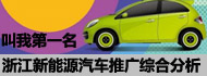 叫我第一名 浙江省新能源汽车推广综合分析　