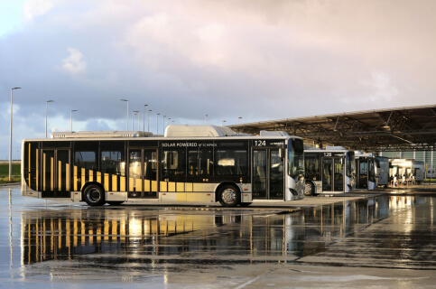 比亚迪制造！欧洲最大规模纯电动大巴车队在荷兰机场投放运营