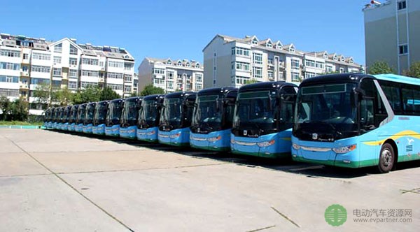 东营新能源公交车
