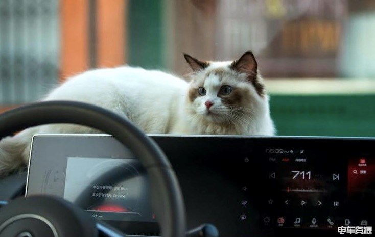 预售7.58万起 欧拉白猫将于7月中旬正式上市