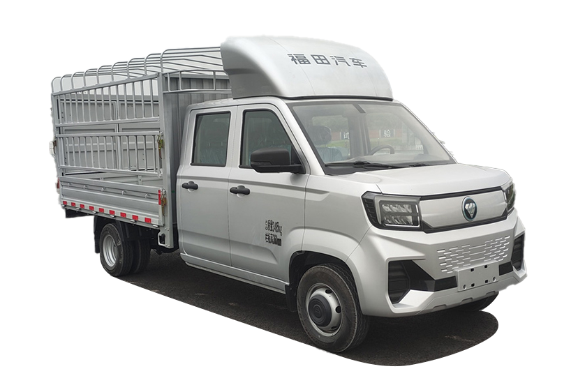 2025款 祥菱V5 双排仓栅 宁德时代55.64kWh（BJ5030CCYEV82）